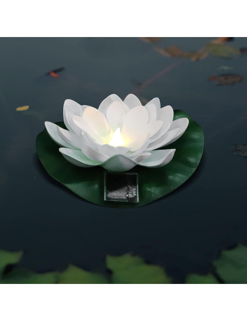 وردة مضية طاقة شمسية BULB