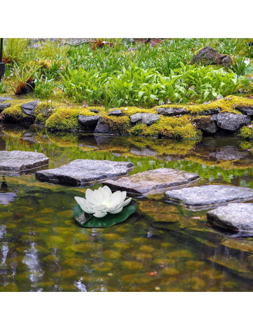 وردة مضية طاقة شمسية BULB