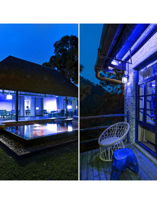 E27 ROUND LED BULB 9W BLUE