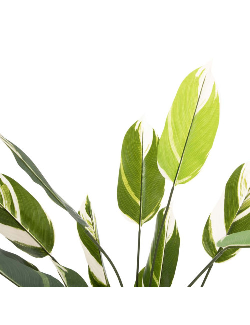 AP-81294 ARTIFICIAL DECORATIVE PLANT-TREE