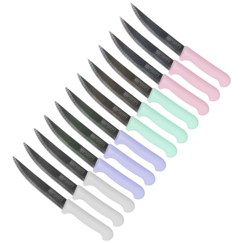 IE 58866-9 / CLKN-820 KITCHEN KNIFE WITH PLASTIC HANDLE