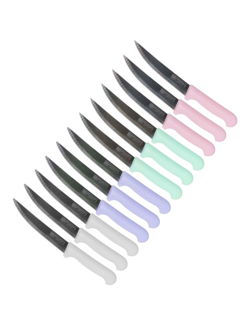 IE 58866-9 / CLKN-820 KITCHEN KNIFE WITH PLASTIC HANDLE