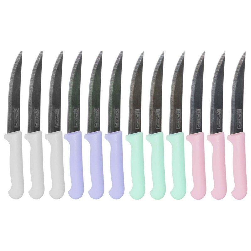 IE 58866-9 / CLKN-820 KITCHEN KNIFE WITH PLASTIC HANDLE