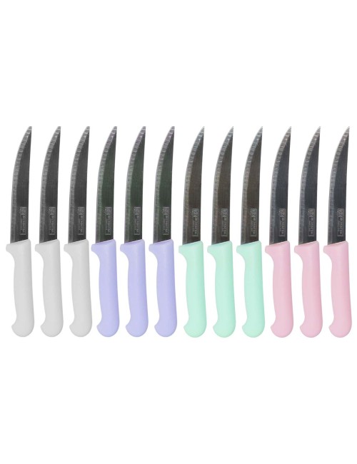 IE 58866-9 / CLKN-820 KITCHEN KNIFE WITH PLASTIC HANDLE
