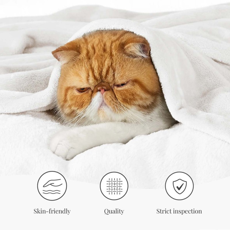 MP-80048/80051/80049/80056 BARE HOME ULTRA SOFT MICROPLUSH FLEEC BLANKET