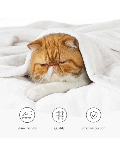 MP-80048/80051/80049/80056 BARE HOME ULTRA SOFT MICROPLUSH FLEEC BLANKET