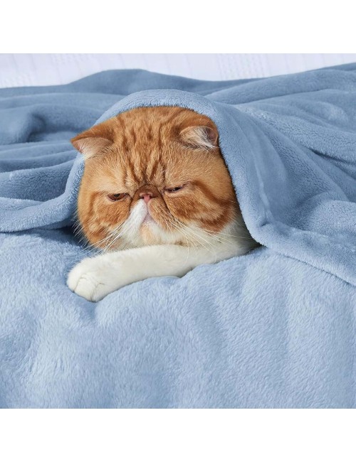 MP-80043/80039/8004 BARE HOME ULTRA SOFT MICROPLUSH FLEEC BLANKET