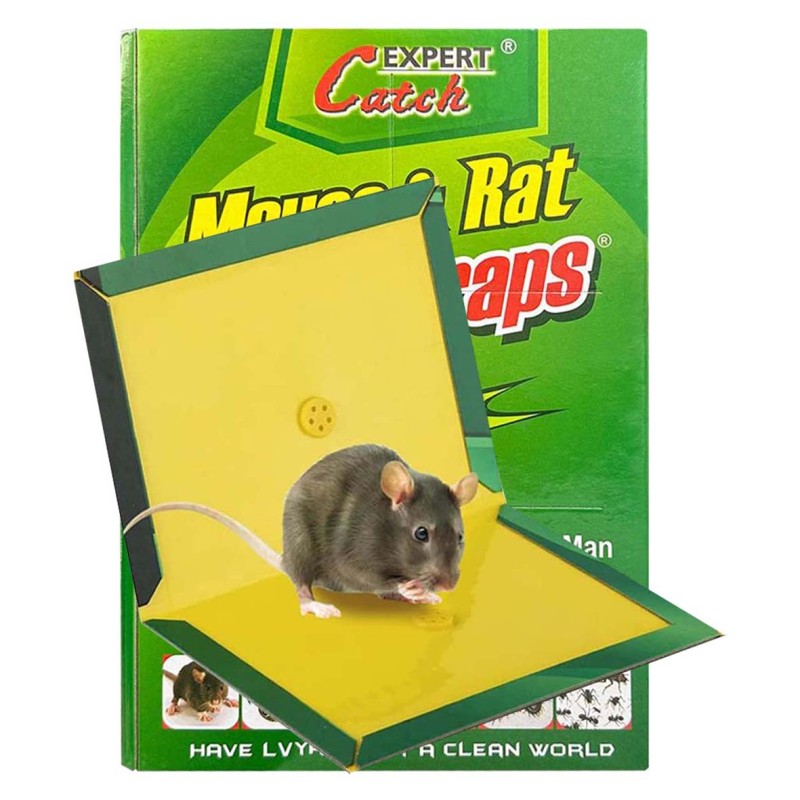 IT-27965 MOUSE AND RAT GLUE TRAP BIG