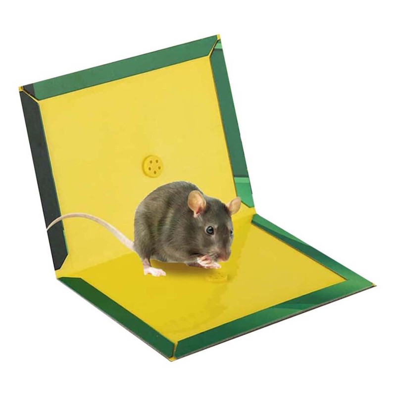 IT-27965 MOUSE AND RAT GLUE TRAP BIG