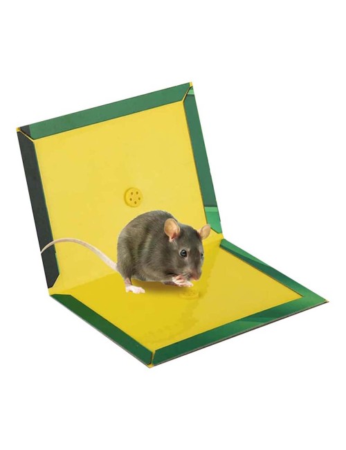 IT-27965 MOUSE AND RAT GLUE TRAP BIG